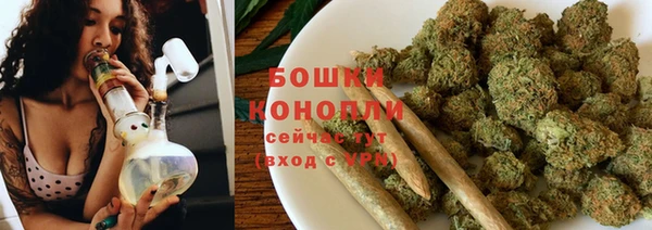 сатива Верея